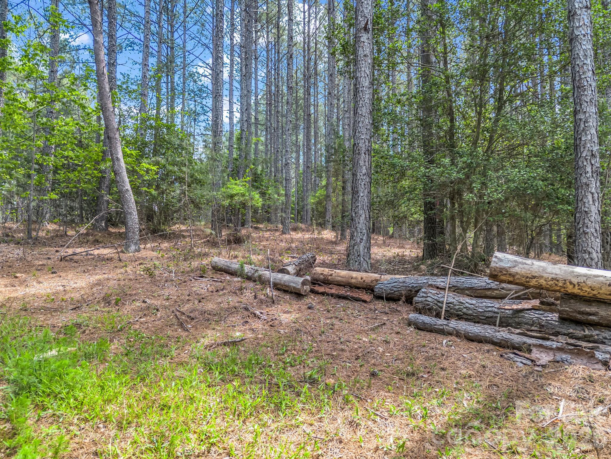 Land in Mooresboro 5