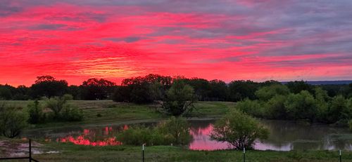 1458 Jim Harry Loop, Sunset, TX, 76270-6746 | Card Image