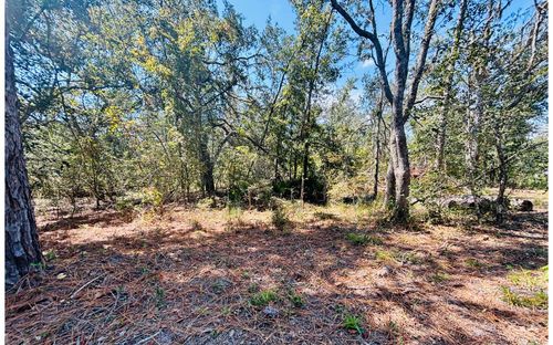 LOT66 Nw 21st Pl, Jasper, FL, 32052 | Card Image