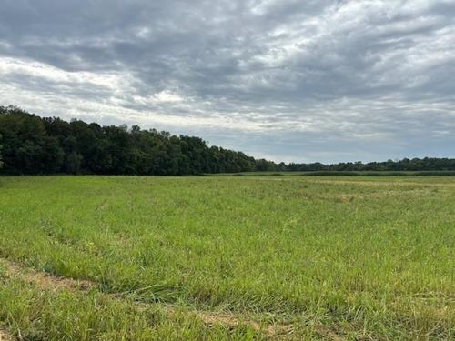 XXXX County Rd 30 Sw Tract B, Montrose, MN, 55363 | Card Image