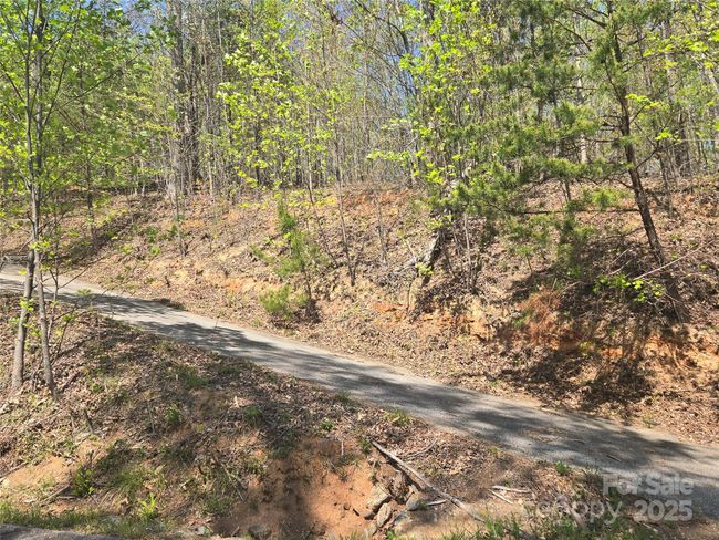 Lot 32 High Rock Rdg, Home with 0 bedrooms, 0 bathrooms and null parking in Lake Lure NC | Image 8