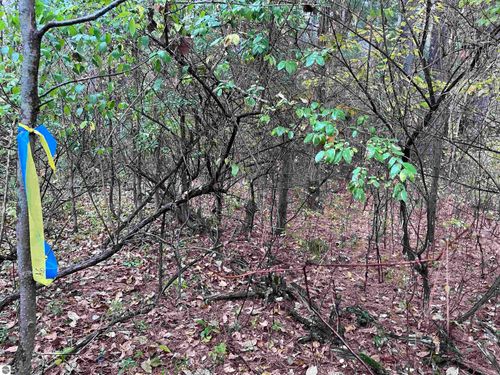 35 Wilber Rd, Tawas City, MI, 48763-9261 | Card Image