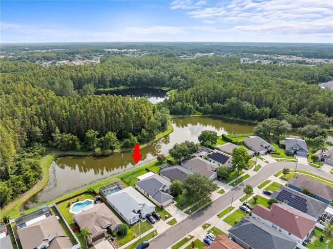 30638 Nickerson Loop, House other with 4 bedrooms, 2 bathrooms and null parking in WESLEY CHAPEL FL | Image 27