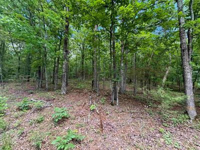 Tract 16 Bobby Road, Home with 0 bedrooms, 0 bathrooms and null parking in Higden AR | Image 1