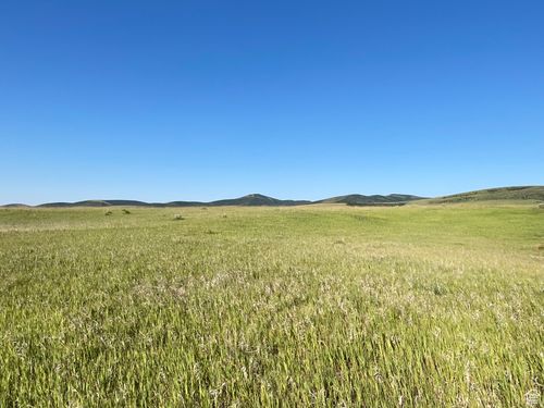 19300 W Daniels Rd, Malad City, ID, 83252 | Card Image