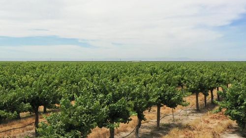 20650 Road 21, Madera, CA, 93637 | Card Image