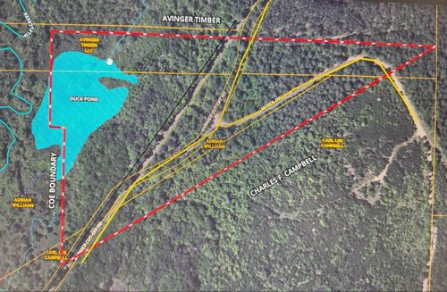 TBD Mcneil, Avinger, TX, 75630 | Card Image