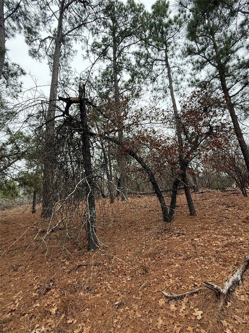 105 Waialua Court, Bastrop, TX, 78602 | Card Image