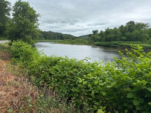 548 Bishop Rd, Lisbon, NH, 03585 | Card Image