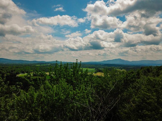 1730 Sinclair Rd, Home with 0 bedrooms, 0 bathrooms and null parking in Johnson VT | Image 30