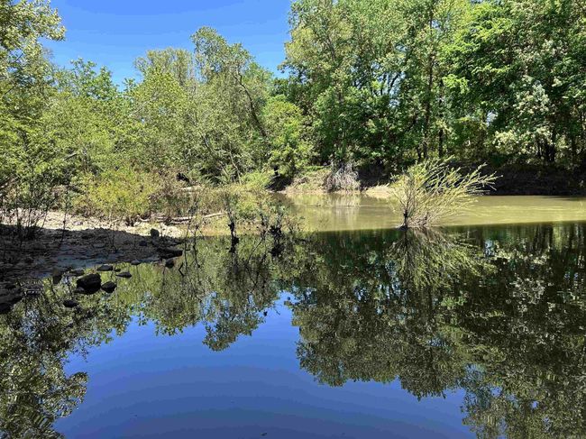 0 Highway 270 W, Home with 0 bedrooms, 0 bathrooms and null parking in Prattsville AR | Image 5