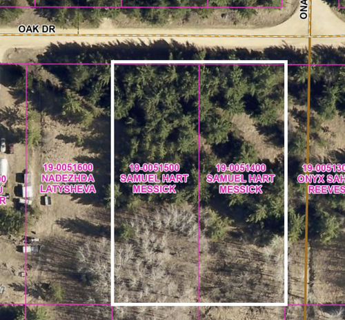 lots 22 & 23 Oak Drive, Browerville, MN, 56438 | Card Image