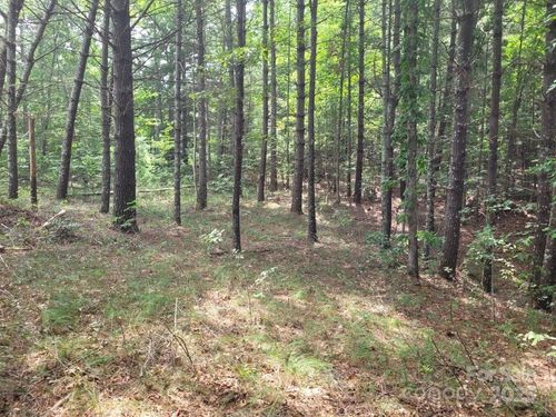 Lot 278 Scenic Vista Dr, Nebo, NC, 28761 | Card Image
