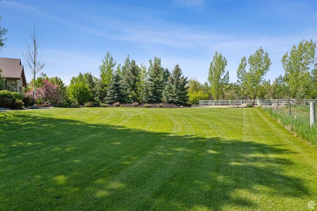 View of yard | Image 63