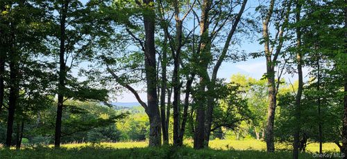 Lot 1.35 W Shore Road, Bethel, NY, 12783 | Card Image