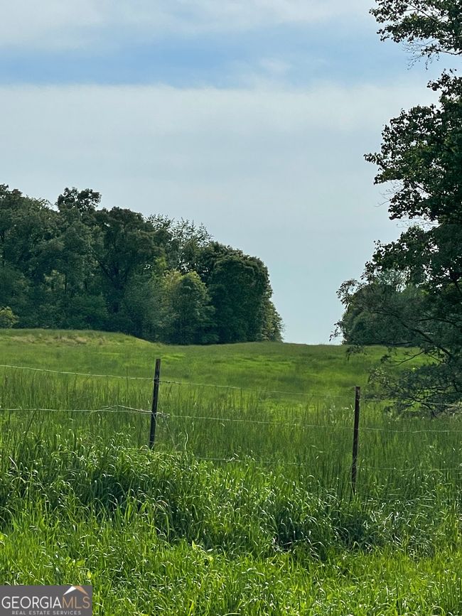 1458 & 1463 Parham Town Rd, Home with 3 bedrooms, 2 bathrooms and null parking in Bowman GA | Image 10