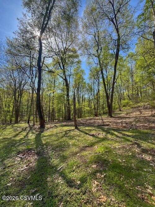 LOT Old Danville Hwy, Northumberland, PA, 17857 | Card Image