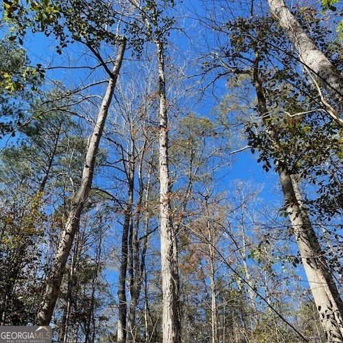 100+/- ACRES Pineville Road, Buena Vista, GA, 31803 | Card Image