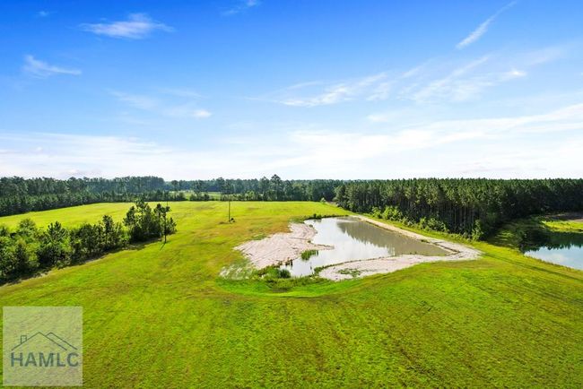 299 Collins Loop, Home with 0 bedrooms, 0 bathrooms and null parking in Odum GA | Image 10