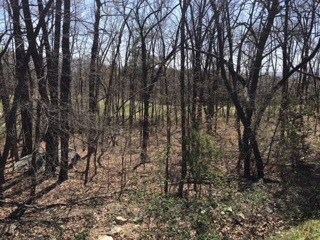 0 Old Rockey Trl, Home with 0 bedrooms, 0 bathrooms and null parking in Rising Fawn GA | Image 42