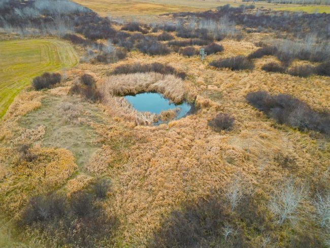 DJI_0363.JPG | Image 4