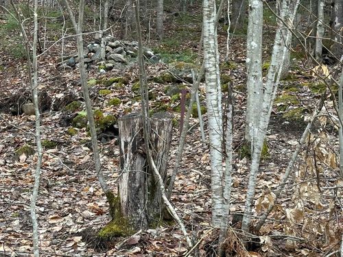 0 Dog Pond Road, Woodbury, VT, 05680 | Card Image