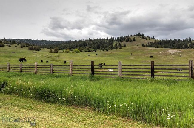 View of yard with a rural view | Image 29
