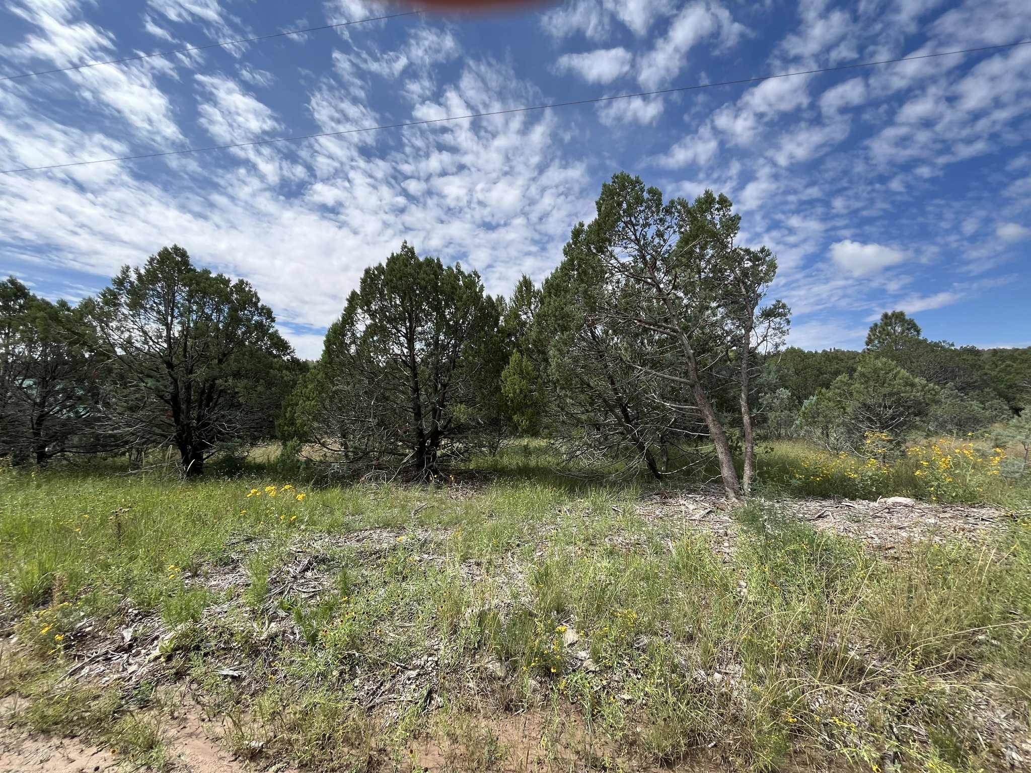 Land in Timberon 2