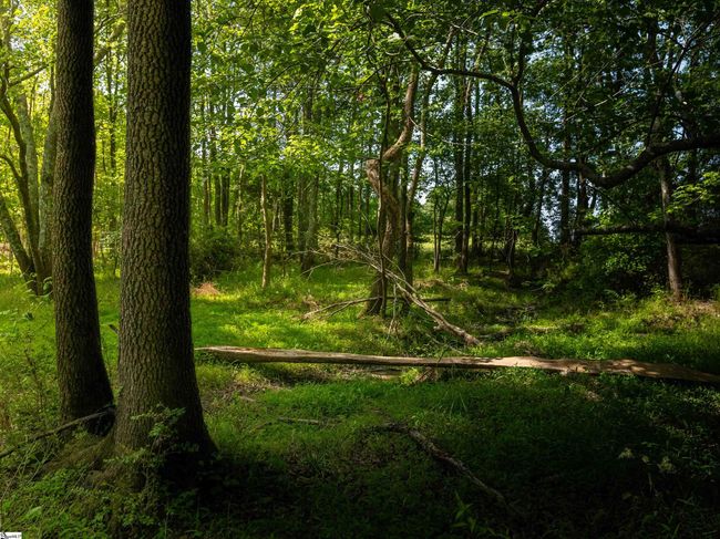 Image | Image 19