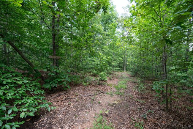 0 Allens Creek Rd, Home with 0 bedrooms, 0 bathrooms and null parking in GLADSTONE VA | Image 32