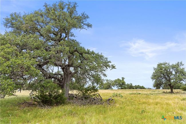 3049 Reservation Rd, Home with 0 bedrooms, 0 bathrooms and null parking in Harper TX | Image 28