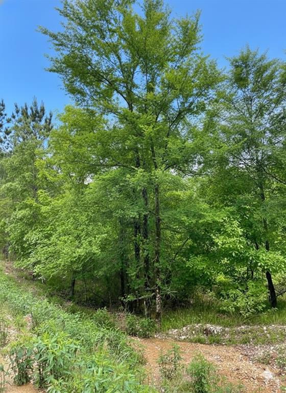 Land in Broken Bow