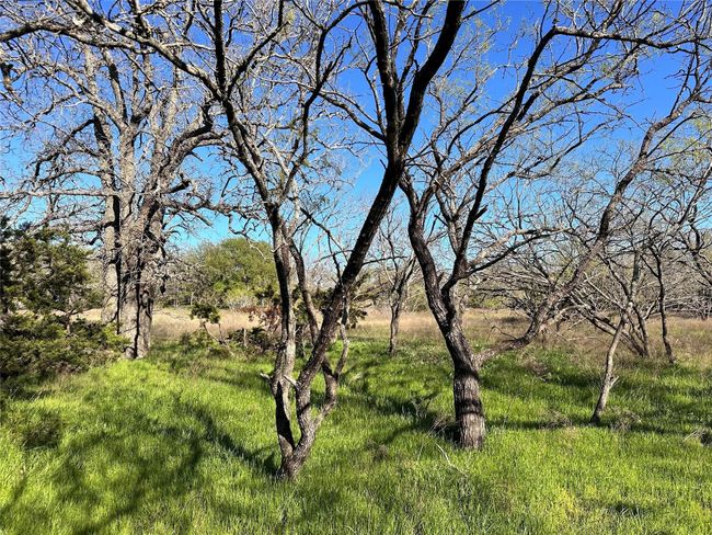 Lot 13 Cr 127, Home with 0 bedrooms, 0 bathrooms and null parking in Carlton TX | Image 15