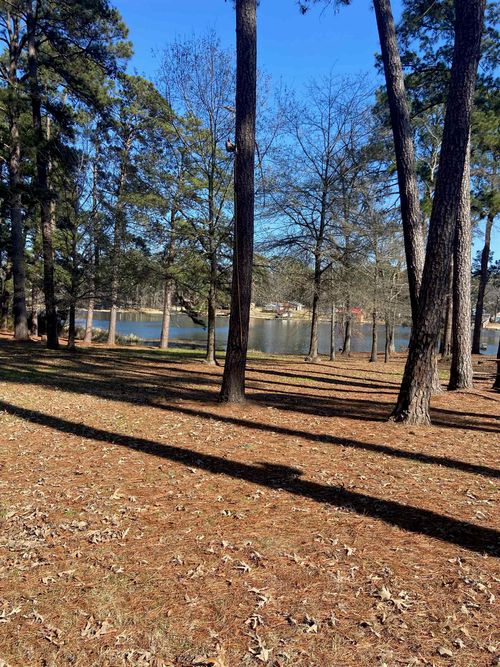 41 Cr 2244 Webb, Daingerfield, TX, 75563 | Card Image