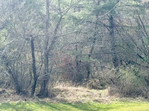 TBD Martin Rd., Max Meadows, VA, 24360 | Card Image