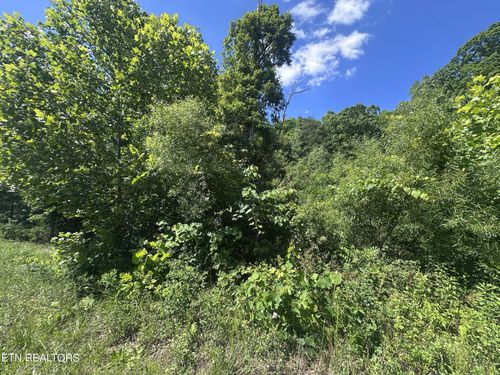 1020 Tomahawk Rd, Jamestown, TN, 38556 | Card Image
