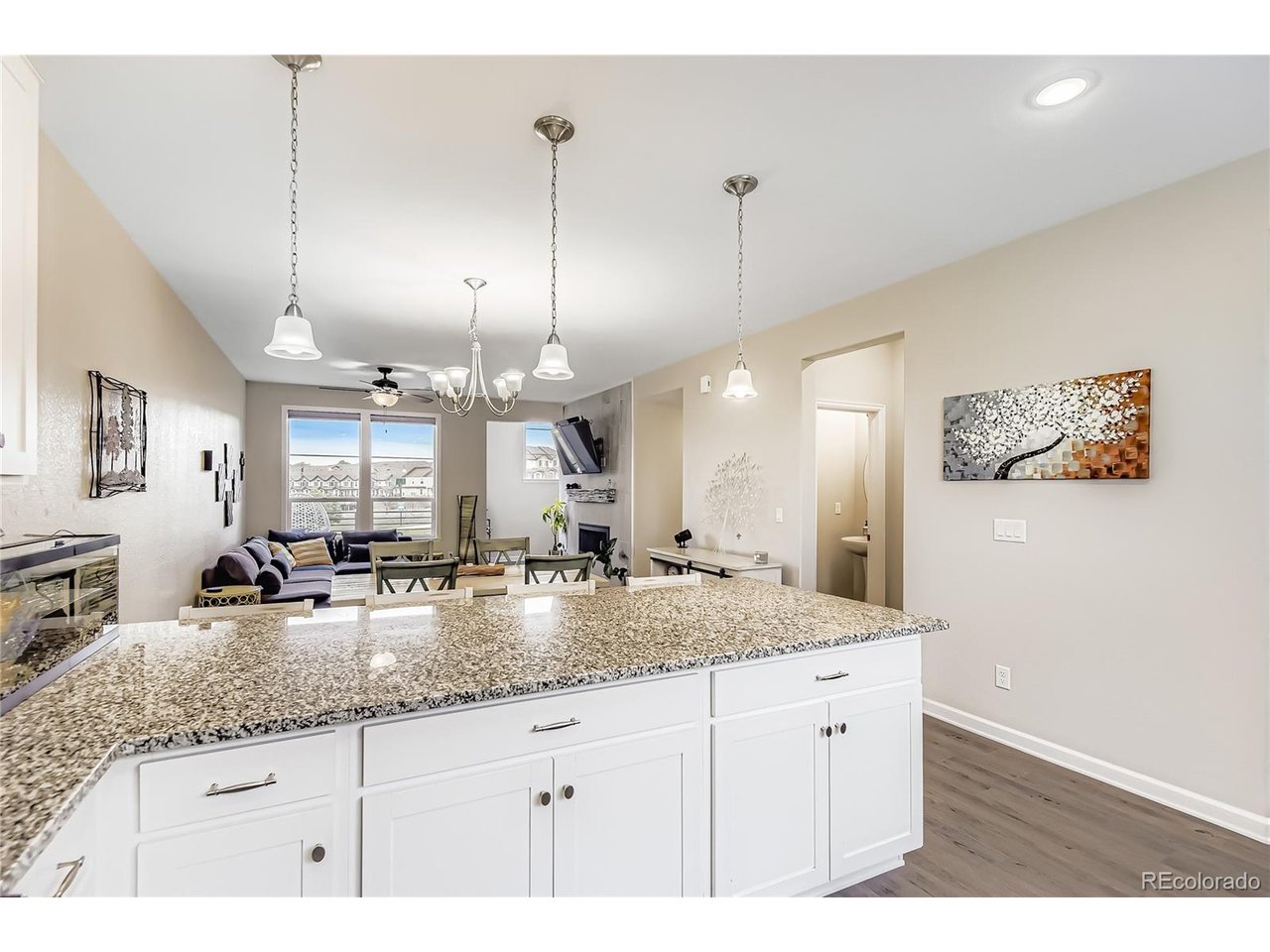 Residential in Castle Rock 4