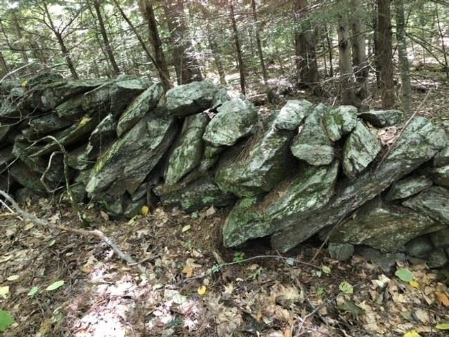 4000-ANDAMP-5000 - 00 Snowshoe Hill Rd, Home with 0 bedrooms, 0 bathrooms and null parking in Canterbury NH | Image 13