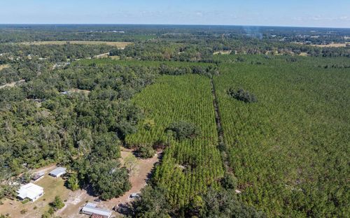TBD Miller St Se, LIVE OAK, FL, 32064 | Card Image