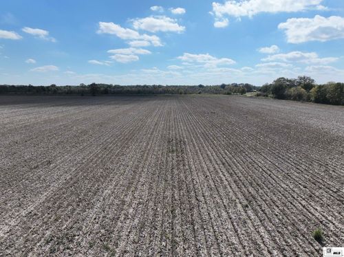 000 Foster Rd, Pioneer, LA, 71266 | Card Image