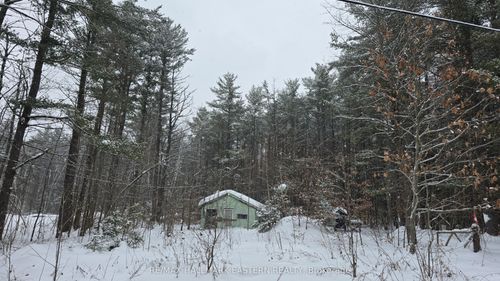 120 Cole Rd, Havelock, ON, K0L1Z0 | Card Image