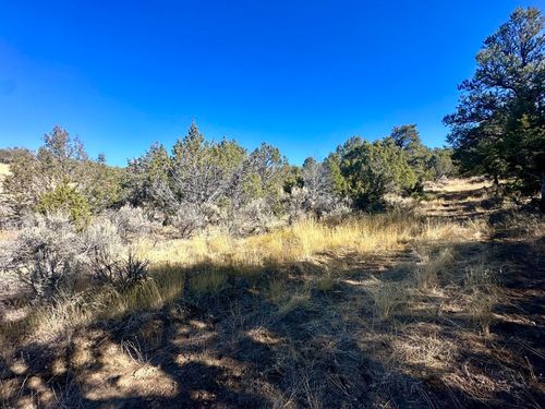 TBD Cactus Park Rd, Cedaredge, CO, 81413 | Card Image