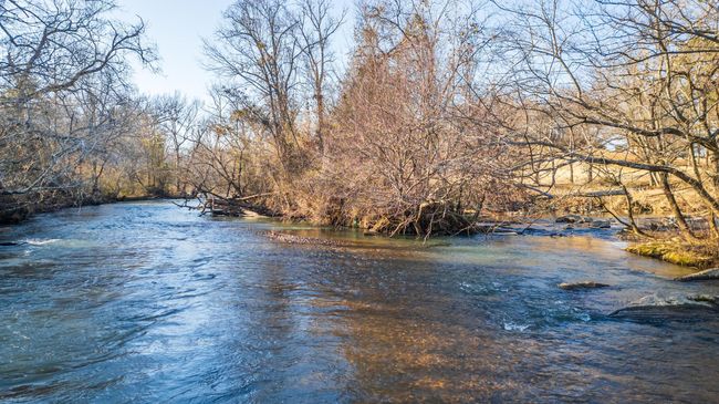Creek is close by for more soothing views | Image 43