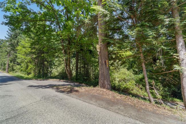 View of asphalt road featuring a wooded view | Image 6