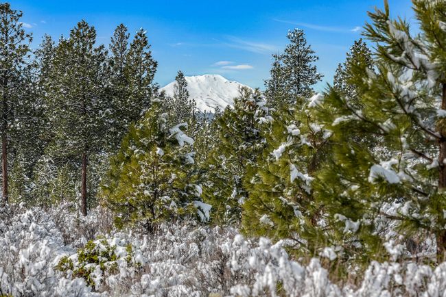 OReilly_20240306_14_287900_a_72ppi | Image 15