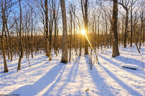 lot-16-swiss-section-TBD Ash Court, Terra Alta, WV, 26764 | Card Image