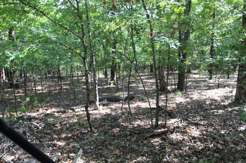 lot-41-000 Lakeshore Road, Protem, MO, 65733 | Card Image