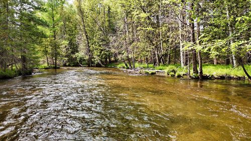 Parcel A(5704) Nw Aarwood Road, Clearwater Township, MI, 49676 | Card Image