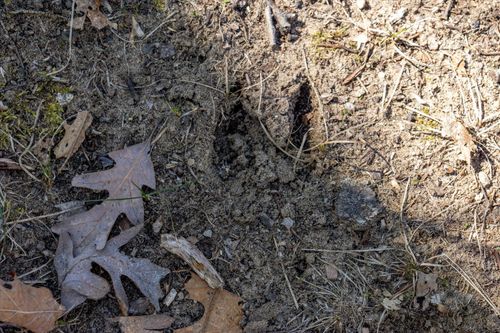 14714 Myers Lake Ave Ne, Cedar Springs, MI, 49319 | Card Image