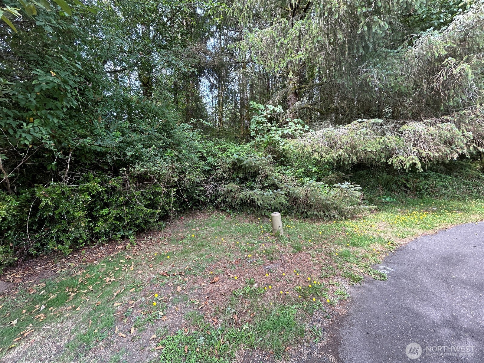 Land in Ocean Shores 3